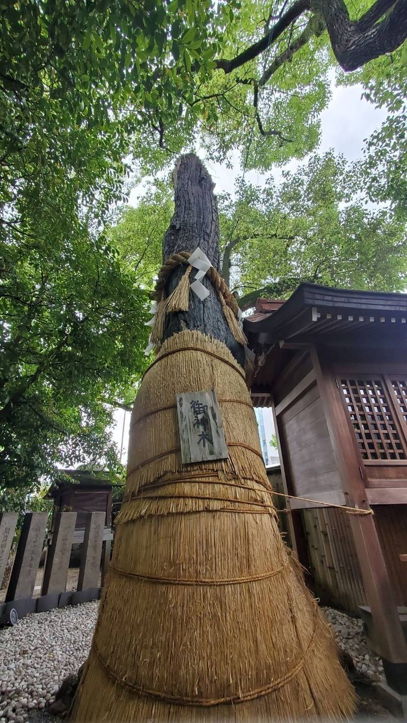 堀越神社,大阪府大阪市天王寺区茶臼山町1-8