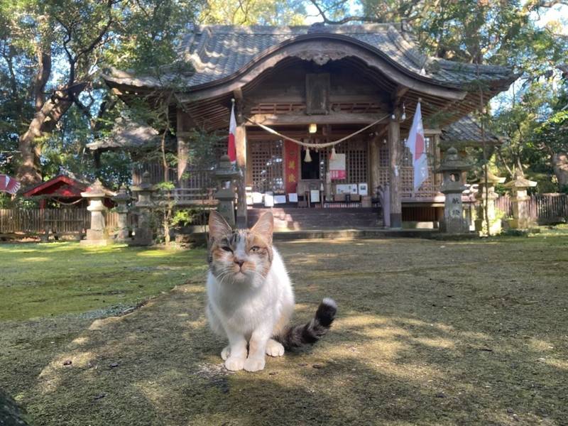 瓜生野八幡神社,宮崎県宮崎市大瀬町5714