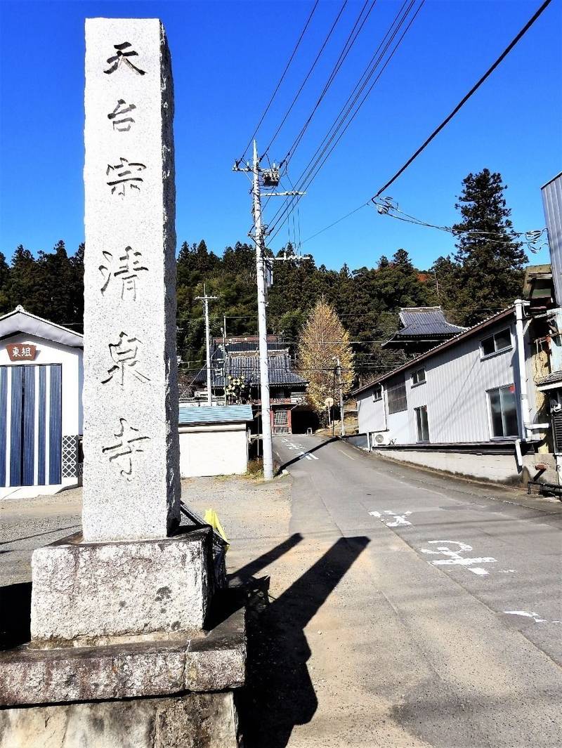 清泉寺,群馬県甘楽郡下仁田町大字下仁田626