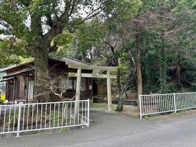 諏訪八幡神社,見どころ,を神