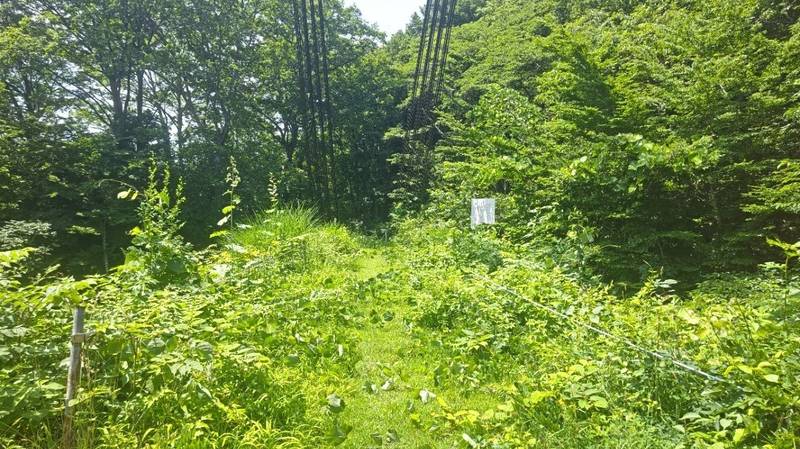 不動明王  (栗原市),宮城県栗原市本沢鯨ケ森４９−１０