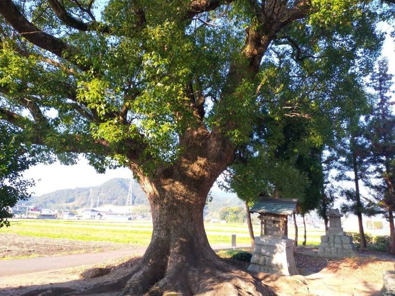 八幡宮　依井,福岡県朝倉郡筑前町依井221