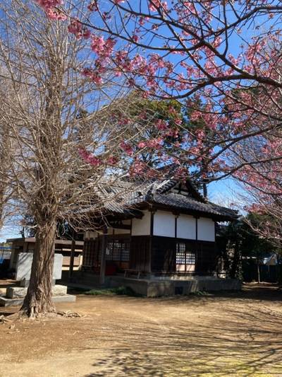 三咲稲荷神社,見どころ,船橋大明神