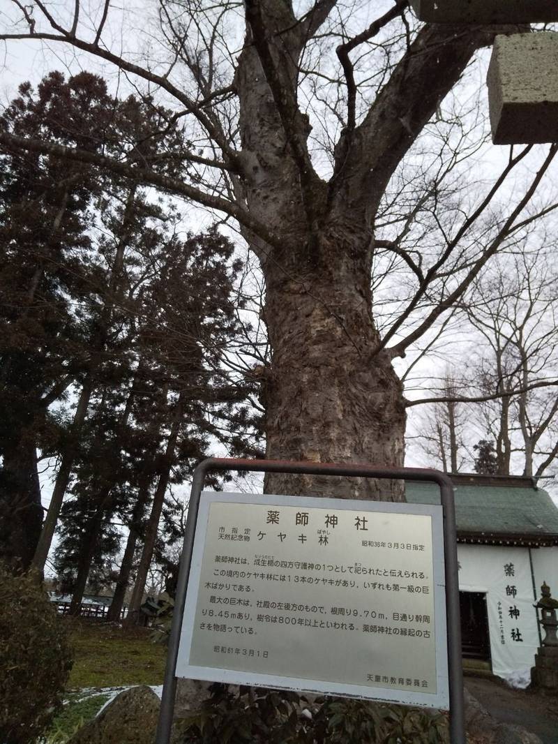 成生薬師神社,山形県天童市成生571