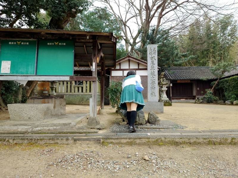 畝尾坐健土安神社,奈良県橿原市下八釣町138