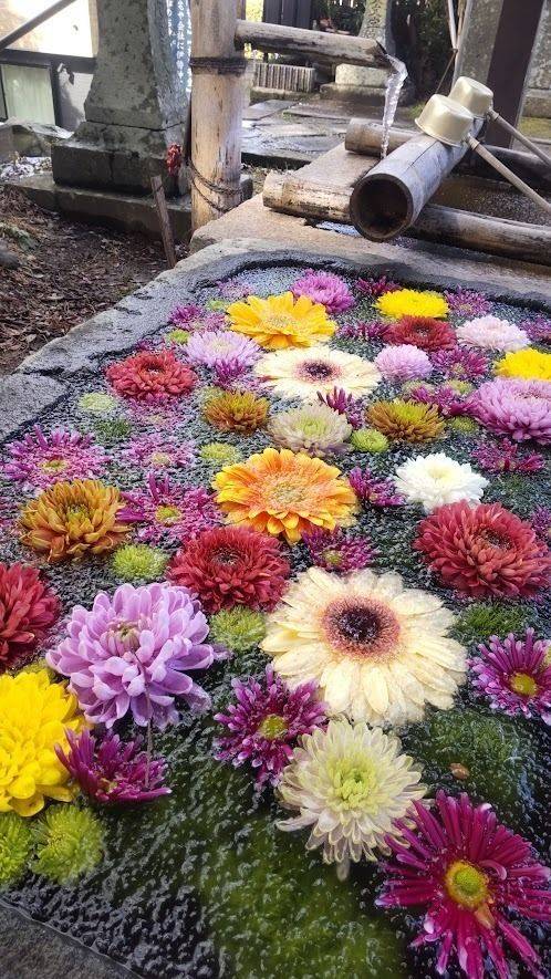 中川八幡神社,長崎県長崎市中川2丁目9-21