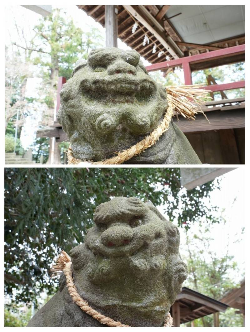 出雲祝神社,埼玉県入間市宮寺1853
