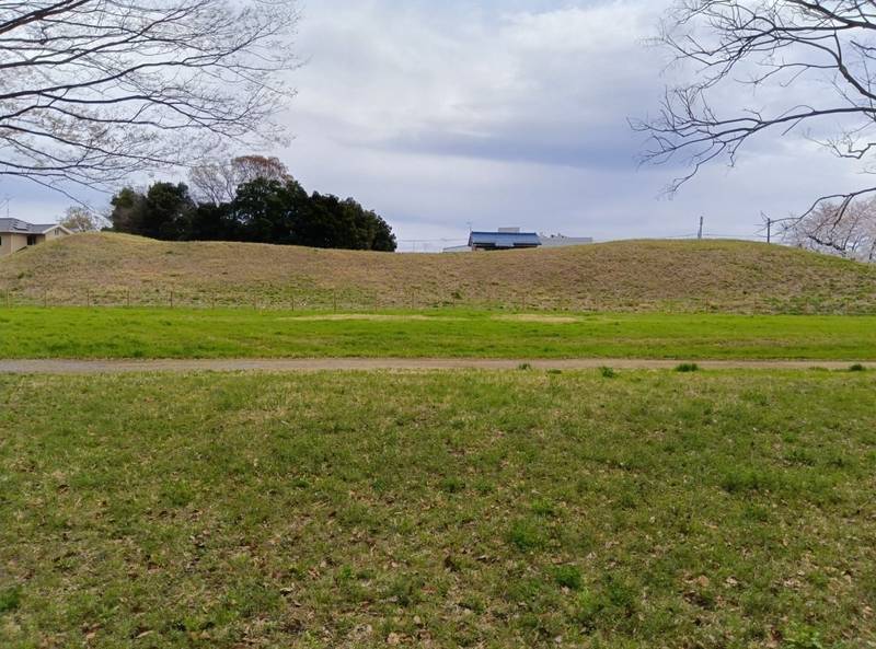 中の山古墳,埼玉県行田市渡柳
