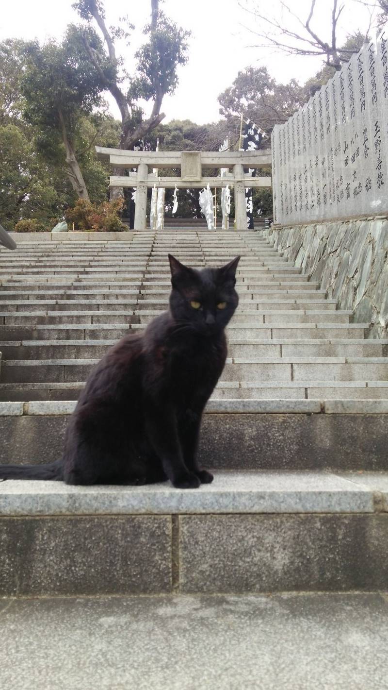 王子神社 猫神さん 徳島市 徳島県 の見どこ By みこ みこ みゅう Omairi おまいり