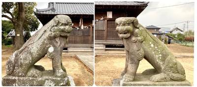 阿蘇神社,見どころ,vasek