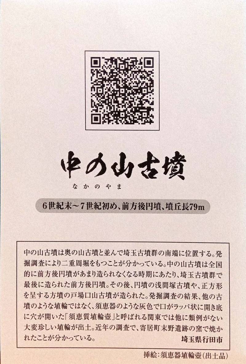 中の山古墳,埼玉県行田市渡柳