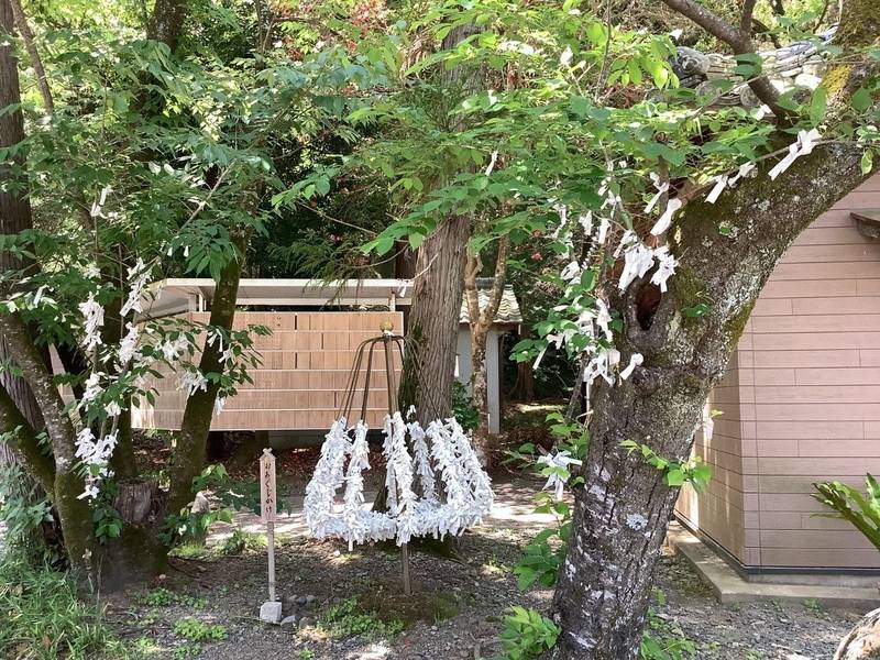 須賀神社,和歌山県日高郡みなべ町西本庄２４２