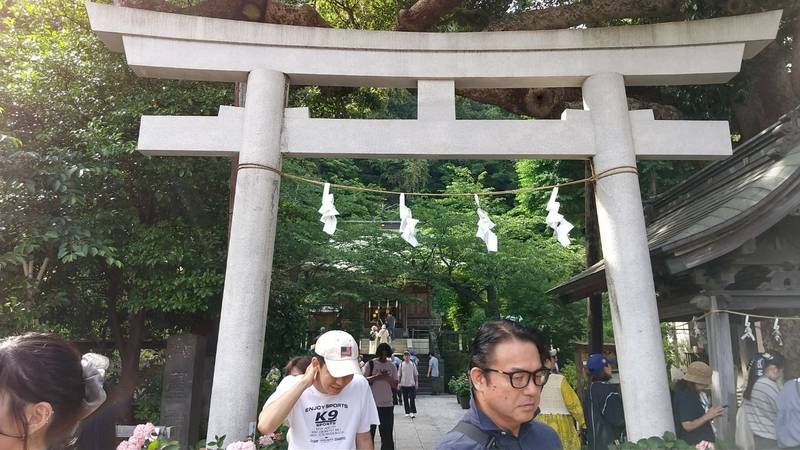御霊神社    (権五郎神社),神奈川県鎌倉市坂ノ下4番9号