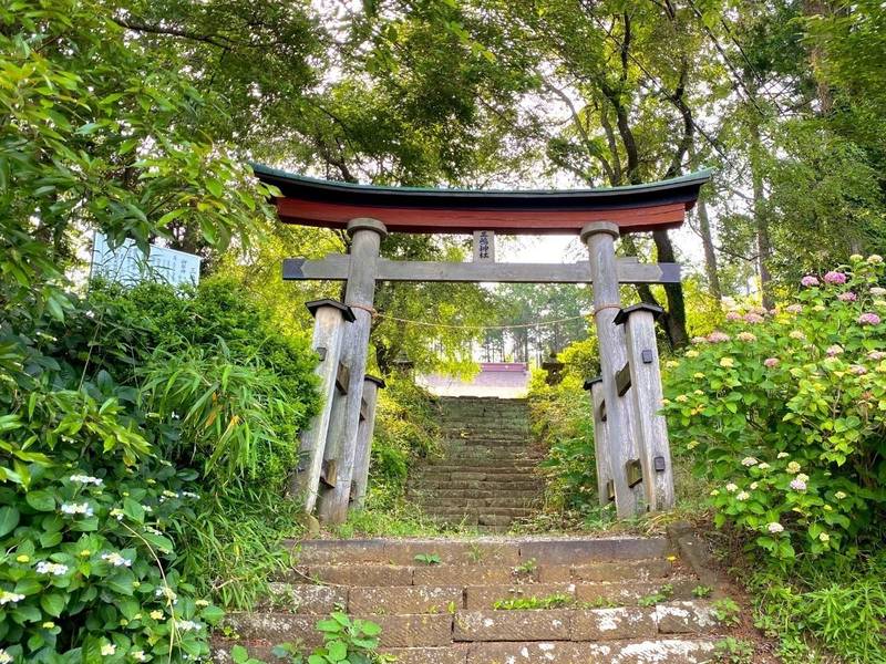 善波三嶋神社,神奈川県伊勢原市善波714