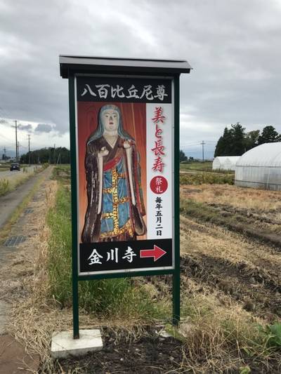 金川寺,見どころ,テンキの粉
