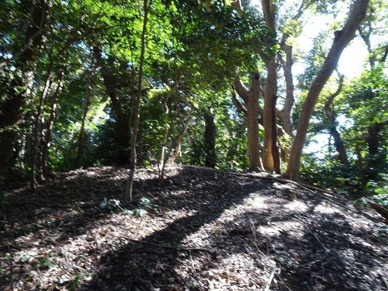 能ヶ坂砦,静岡県掛川市小貫