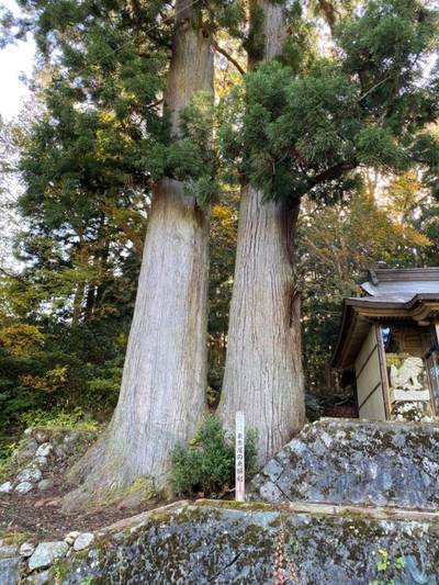 東赤尾八幡宮,見どころ,を神
