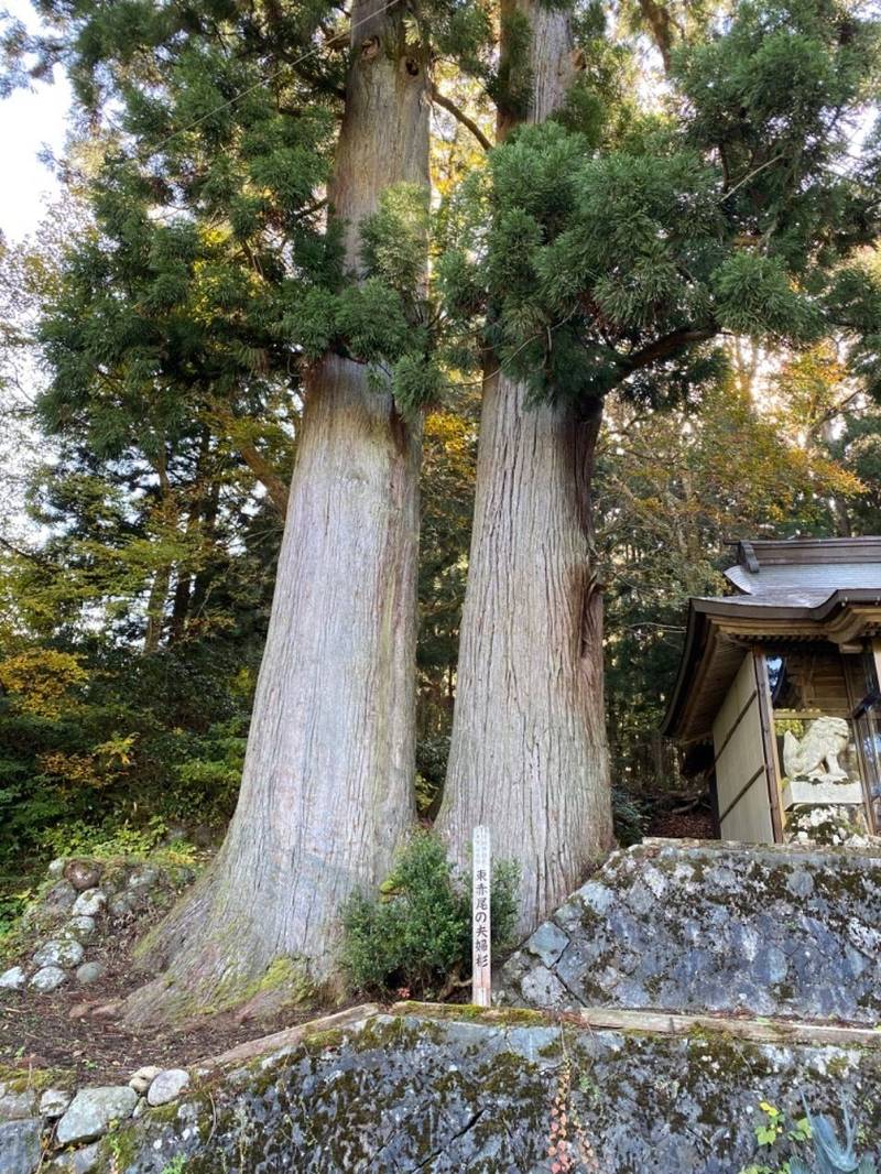 東赤尾八幡宮,富山県南砺市東赤尾９９