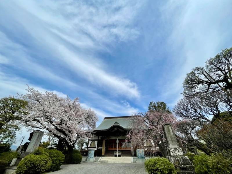 妙純寺 御朱印 厚木市/神奈川県 Omairi(おまいり)