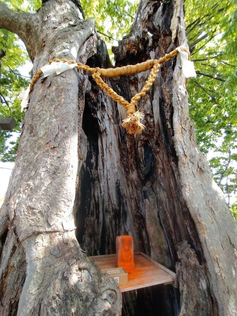 三ツ木神社,埼玉県鴻巣市愛の町169