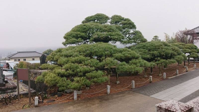 龍泉寺,山梨県山梨市市川2151
