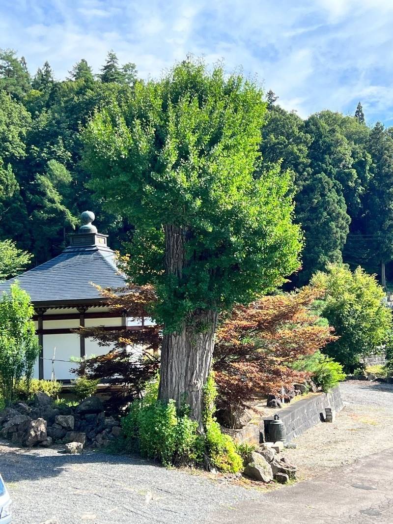 神護山 照谷寺 御山観音,福島県会津若松市門田町大字御山館山甲３０８０