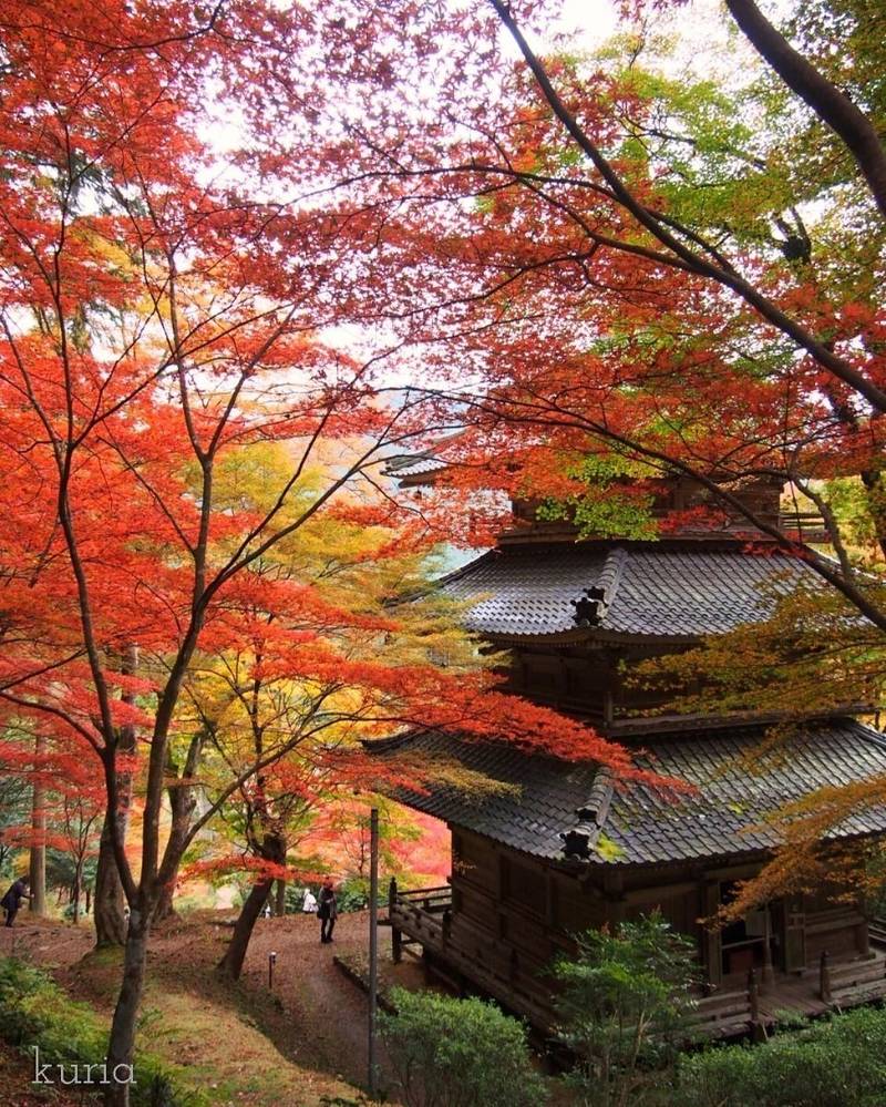高源寺,兵庫県丹波市青垣町桧倉514