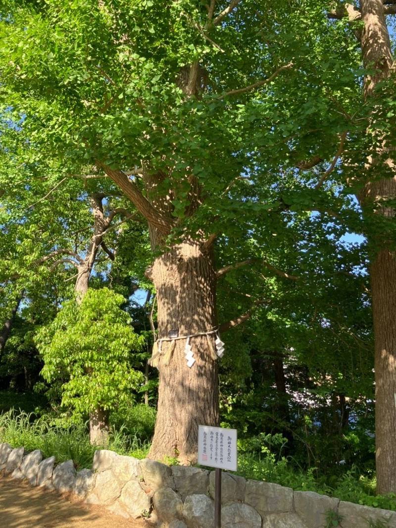 須佐之男神社,静岡県浜松市中区鴨江2丁目12-16