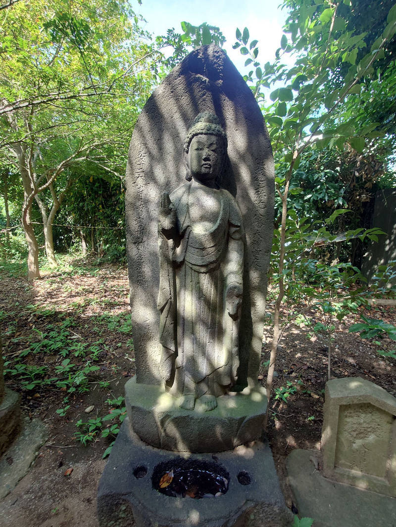 舘氷川神社,埼玉県志木市柏町3-6-19