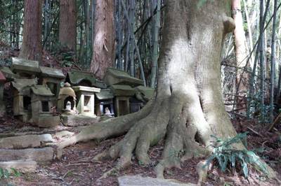 熊野神社,見どころ,山嵐