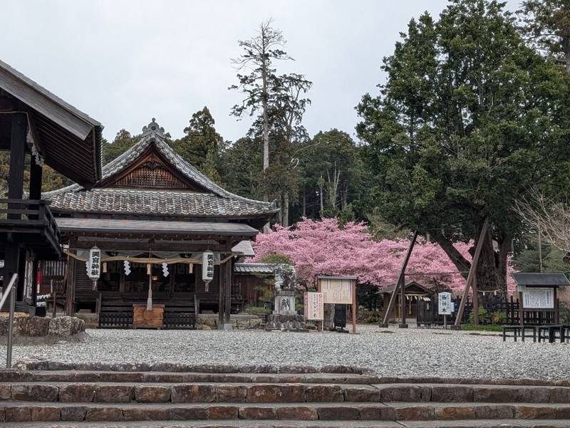 天宮神社,静岡県周智郡森町天宮576