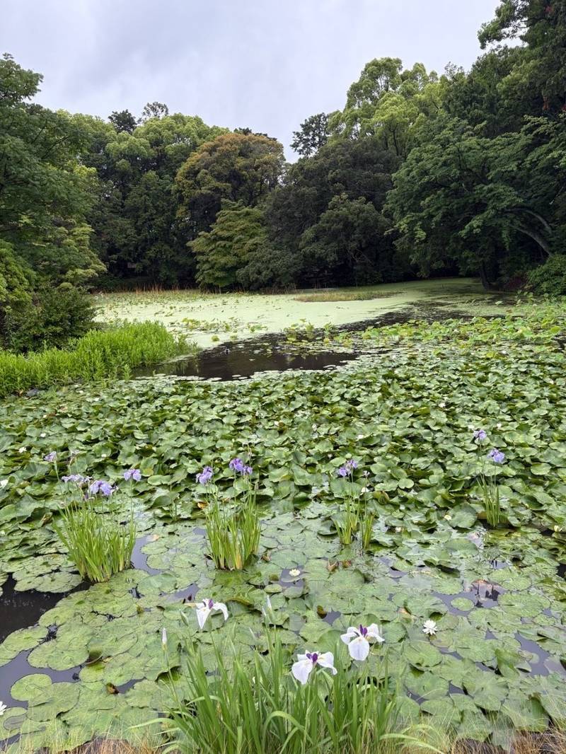 勧修寺,京都府京都市山科区勧修寺仁王堂町27-6