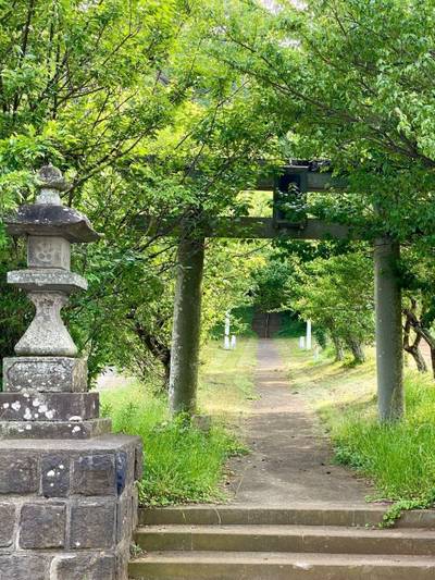 上大槻菅原神社,見どころ,を神