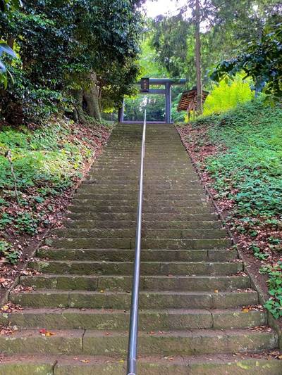上大槻菅原神社,見どころ,を神