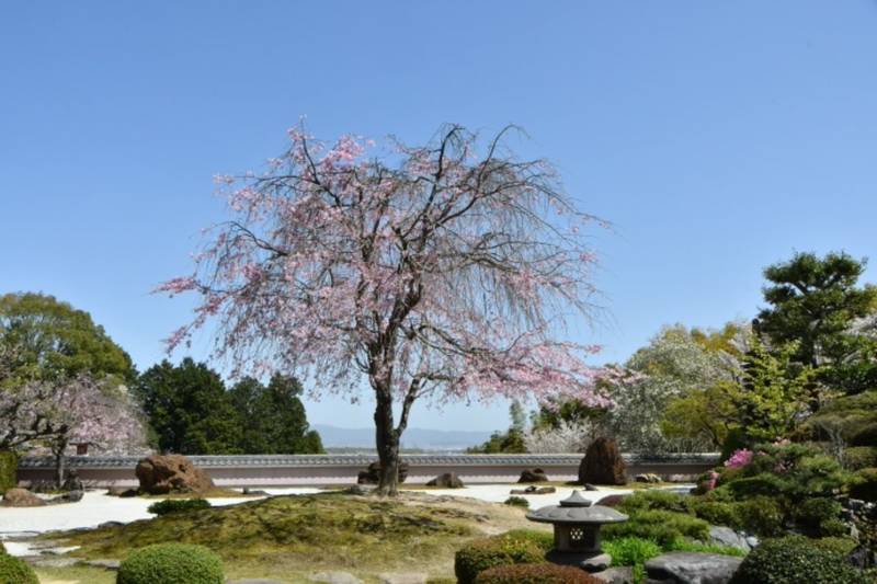 正法寺 京都市 京都府 Omairi おまいり