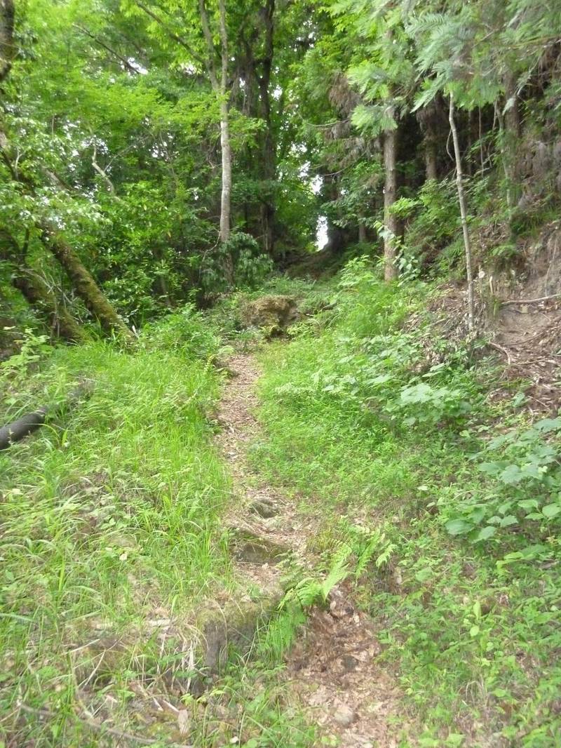 薬師堂,埼玉県秩父市荒川上田野２112番地3