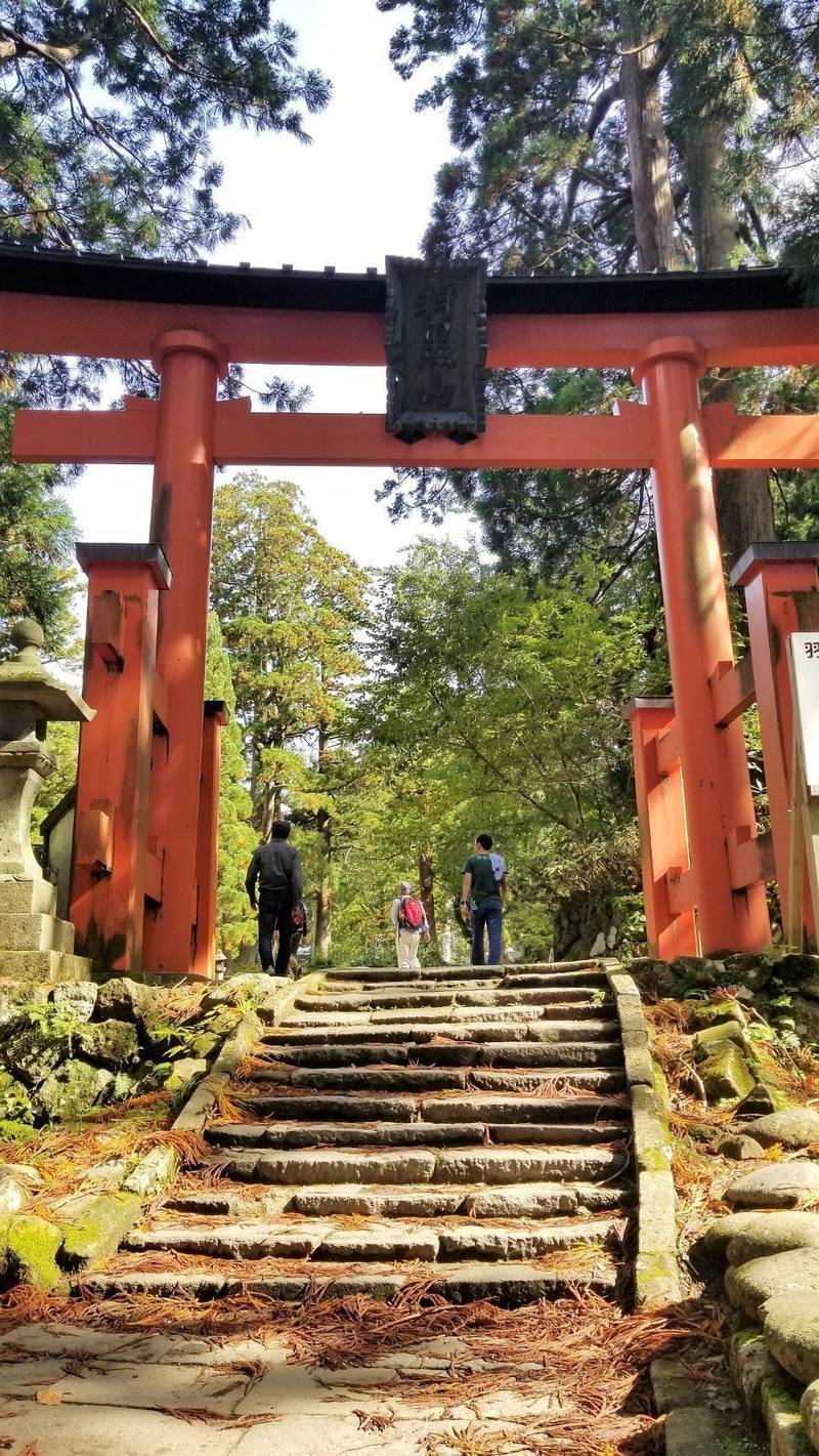 出羽三山神社 鶴岡市 山形県 の見どころ 羽黒山山 By ボブ Omairi おまいり