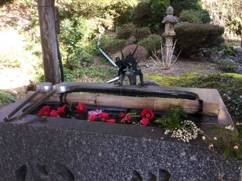 成田山青龍寺,鳥取県八頭郡八頭町下門尾46