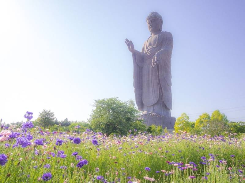 牛久大仏 東本願寺 本廟 御朱印 牛久市 茨城県 Omairi おまいり