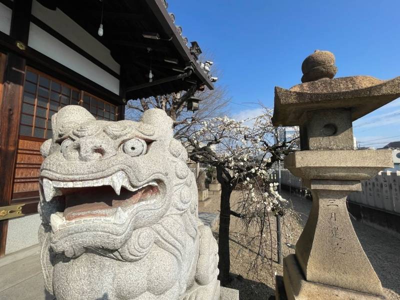 菅原神社,大阪府大阪市平野区加美鞍作1丁目5-17