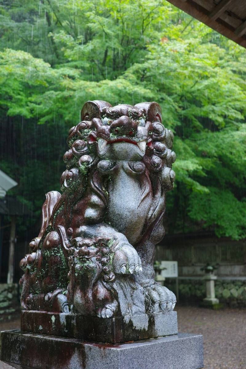 大矢田神社,岐阜県美濃市大矢田2596