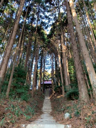 諏訪神社   (鷲足北),見どころ,GT23