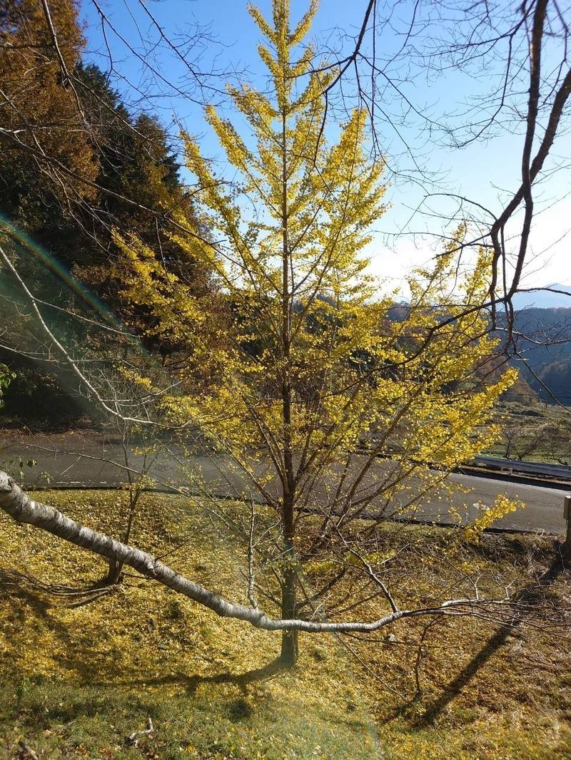 六社神社,京都府福知山市喜多703