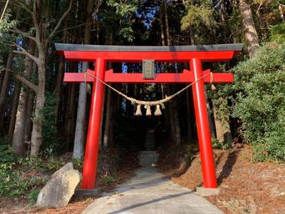 諏訪神社   (鷲足北),見どころ,GT23