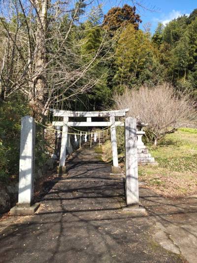 子安八幡宮,見どころ,まちゃき