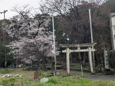 八幡神社    (前渡東町),見どころ,寿都貞平