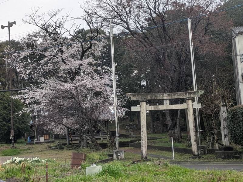 八幡神社    (前渡東町),岐阜県各務原市前渡東町6-150