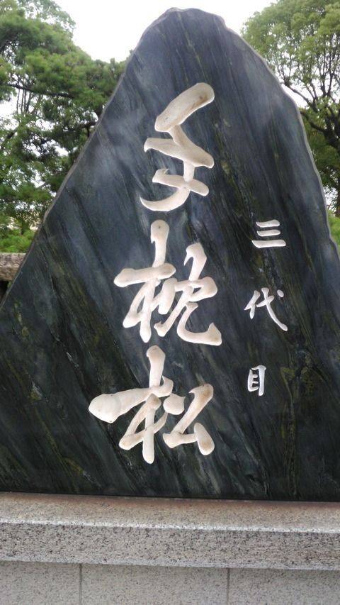 住吉神社,兵庫県加古川市野口町二屋135