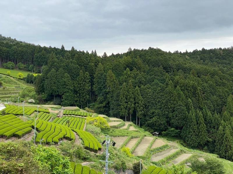 久林寺,静岡県浜松市天竜区大栗安593