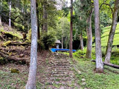 浅間神社  (葵区足久保),見どころ,を神